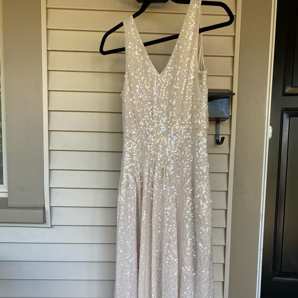 Express Sequin V-Neck Midi Dress! - Picture 12 of 14
